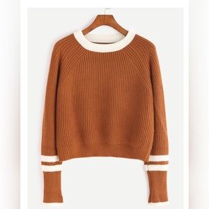 Camel Contrast Neck Striped Trim Sweater